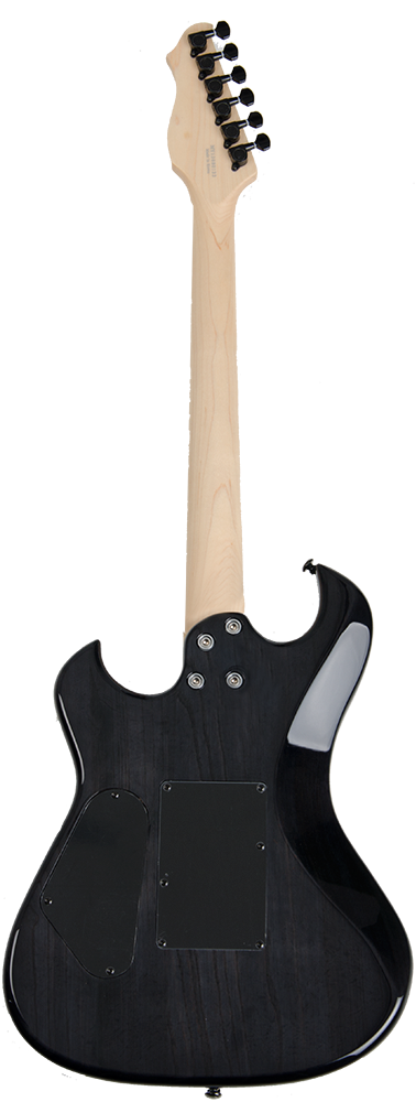 Electra Phoenix H Guitar Trans Black back