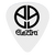 Electra Guitar Picks